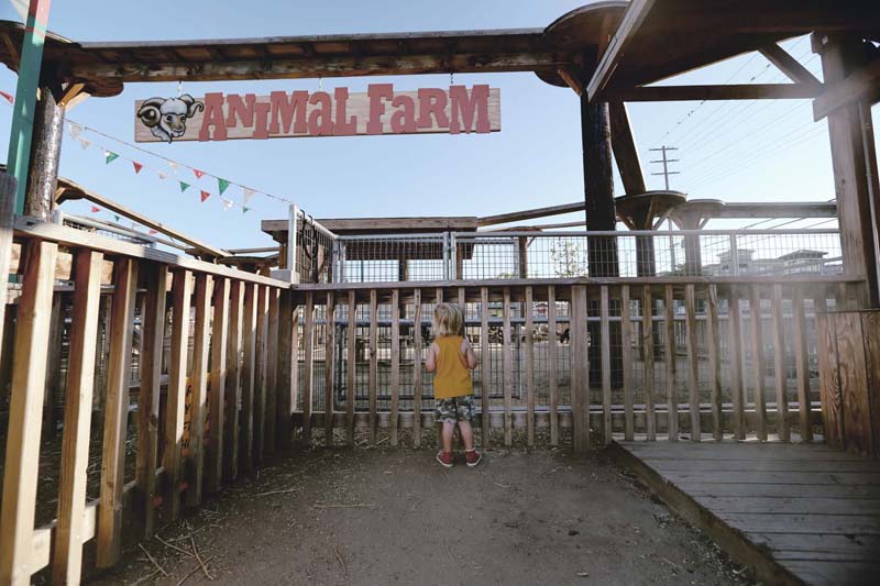 Pierce College Pumpkin Patch The Stork and the Beanstalk